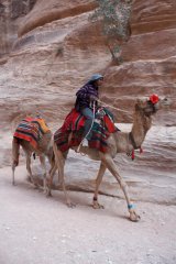 18-Transport in Petra